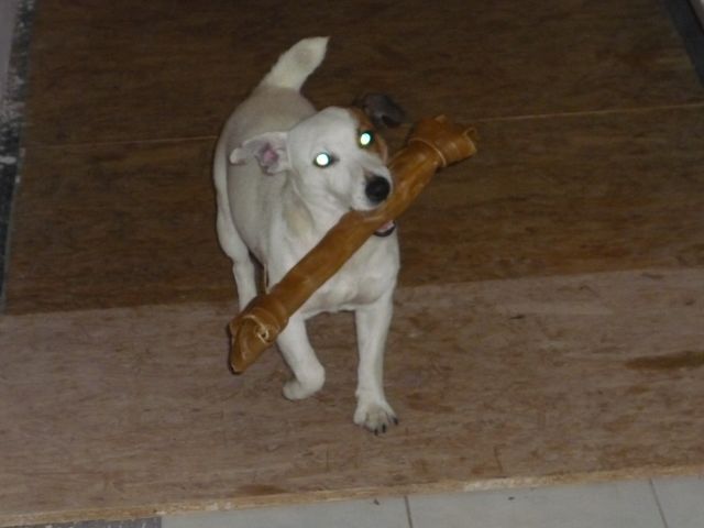 S kostičkou
