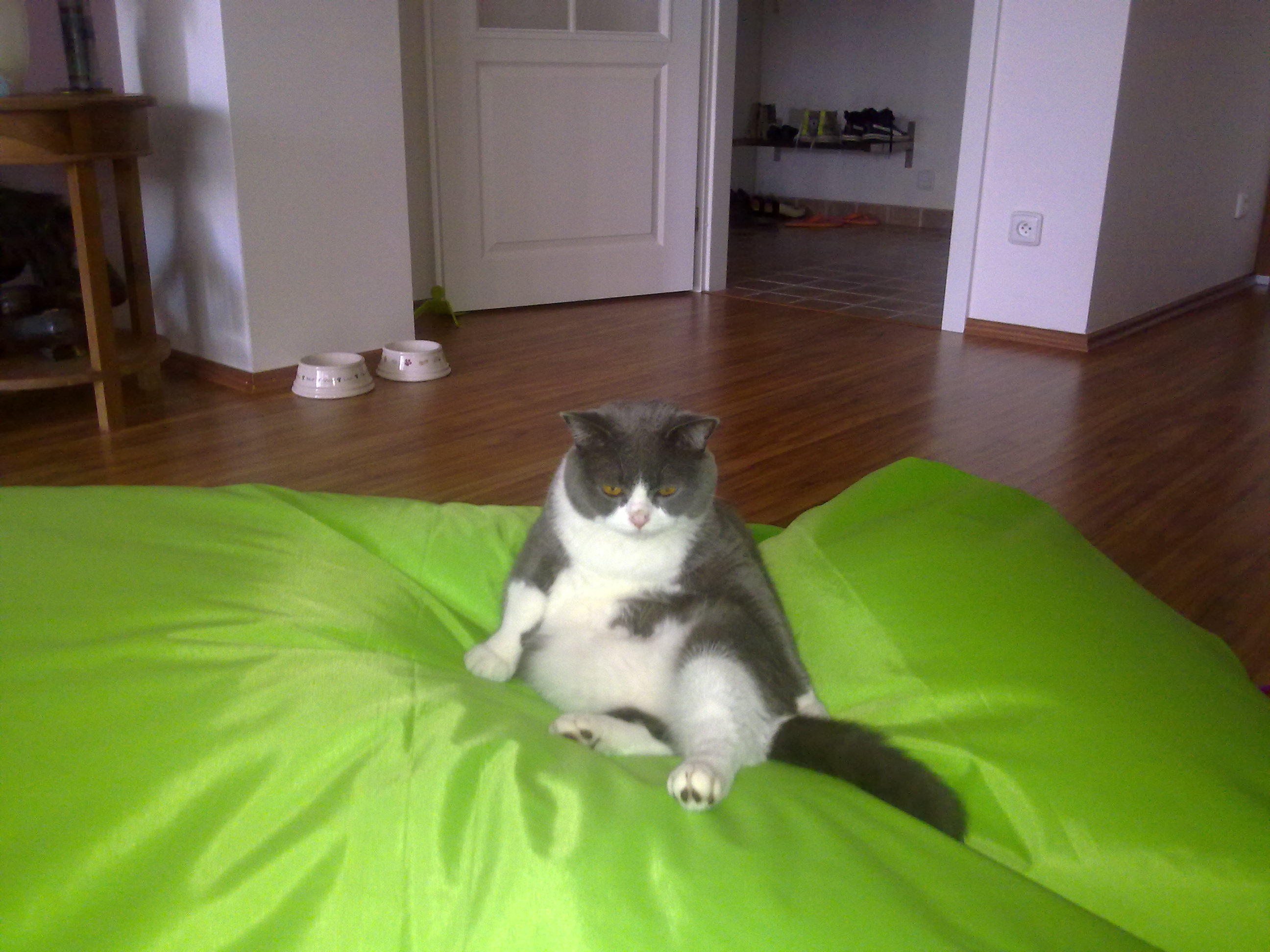Adolf